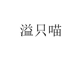 RֻʳƷ޹˾