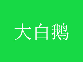 ɽﺣZʳƷ޹˾