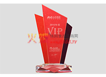 ˘2013VIP