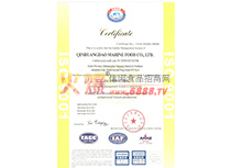 ISO9001C