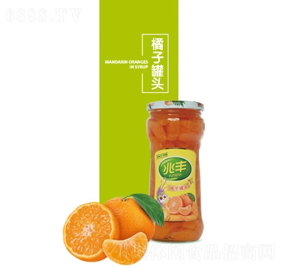 Sӹ^500g