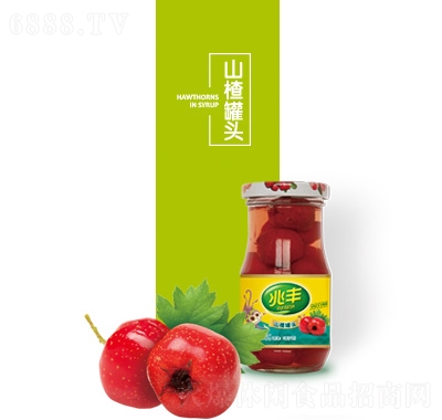 Sɽ髹^245g