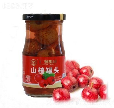 VҰɽ髹^248