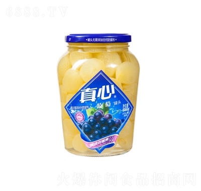 ѹ^880g