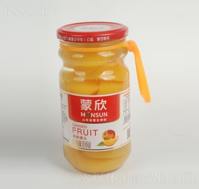 Sҹ^510g