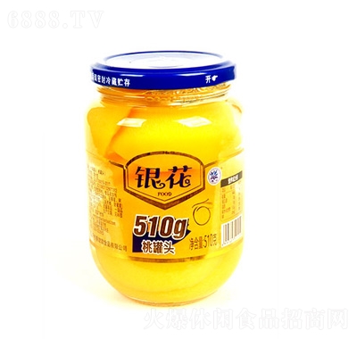 yҹ^510g