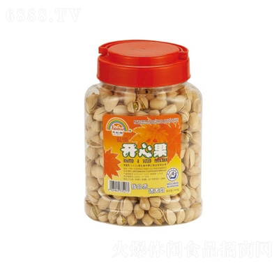 }h_(ki)Ĺ500