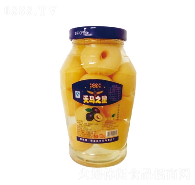 Rӹ^1000g