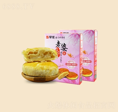 ϏBT480g