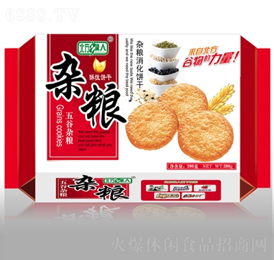 GsZ300g