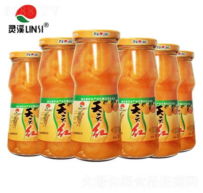 天天紅橘子罐頭水果罐頭食品招商