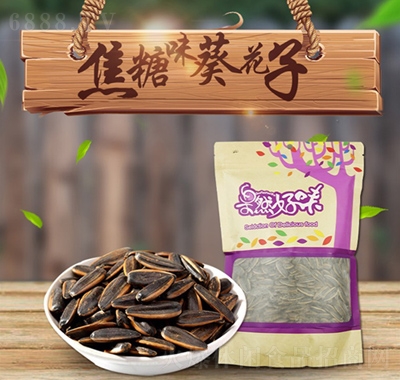 gζ500g