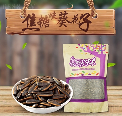 gζ300g