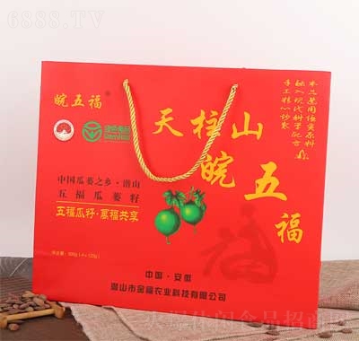 帣ӶYbɽVb500g