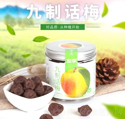 夢(mèng)享果園罐裝九制話梅115g休閑追劇零食