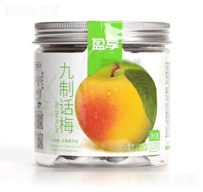 夢(mèng)享果園罐裝九制話梅休閑追劇零食
