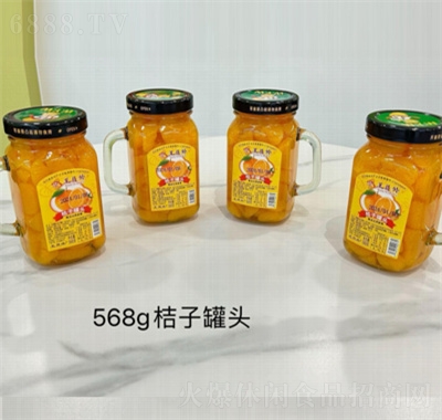 王員外水果罐頭568g桔子罐頭