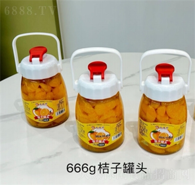 王員外水果罐頭666g桔子罐頭